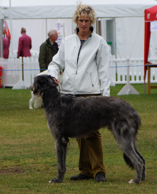 Beardswood Ripley for Calbraidh